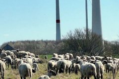 PR25-04_Pilgern-206