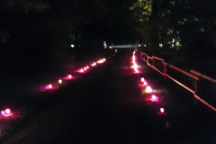 NI17_Lichtmomente-013