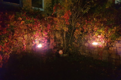 NI19_Lichtmomente-007
