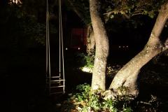 NI19_Lichtmomente-018