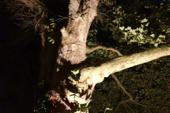 NI19_Lichtmomente-019