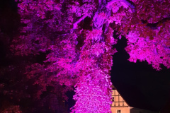 NI19_Lichtmomente-028
