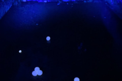 NI23_Lichtmomente-001