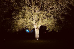 NI23_Lichtmomente-005