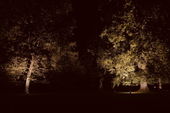 NI23_Lichtmomente-006