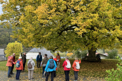 Foto-13.10.25-10-30-51
