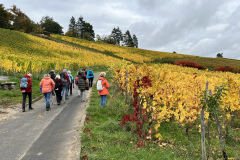 PR25_Pilgerreise-504