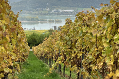 PR25_Pilgerreise-505