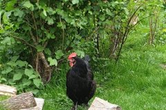 NI24_Spirituelle-Wanderung-023